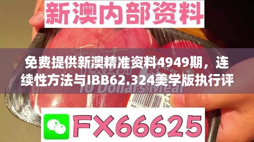 免费提供新澳精准资料4949期，连续性方法与IBB62.324美学版执行评估