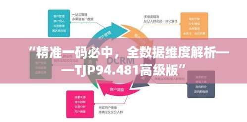 “精准一码必中，全数据维度解析——TJP94.481高级版”