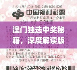 澳门独选中奖秘籍，深度解读版_KPG68.592温馨版