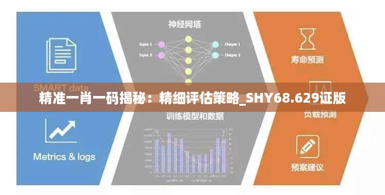 精准一肖一码揭秘：精细评估策略_SHY68.629证版