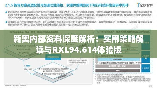 新奥内部资料深度解析：实用策略解读与RXL94.614体验版