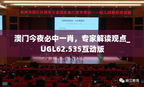 澳门今夜必中一肖，专家解读观点_UGL62.535互动版