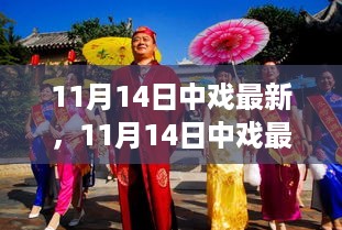 11月14日中戏最新动态热点聚焦，深度解析最新消息