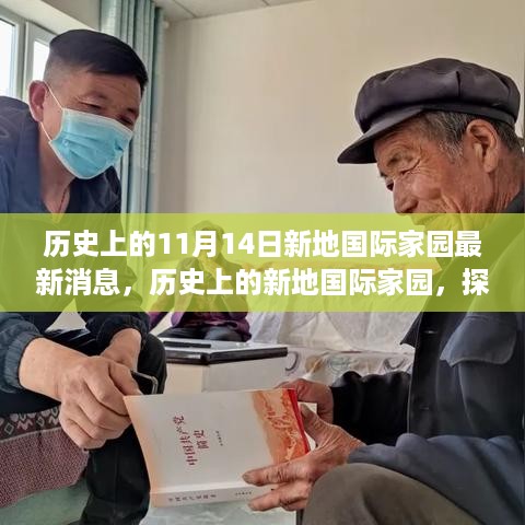 历史上的新地国际家园，探寻最新消息背后的故事与影响纪实