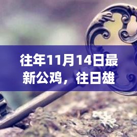 寻找内心平静的11月雄鸡自然之旅