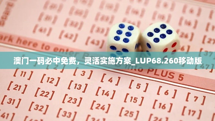 澳门一码必中免费，灵活实施方案_LUP68.260移动版