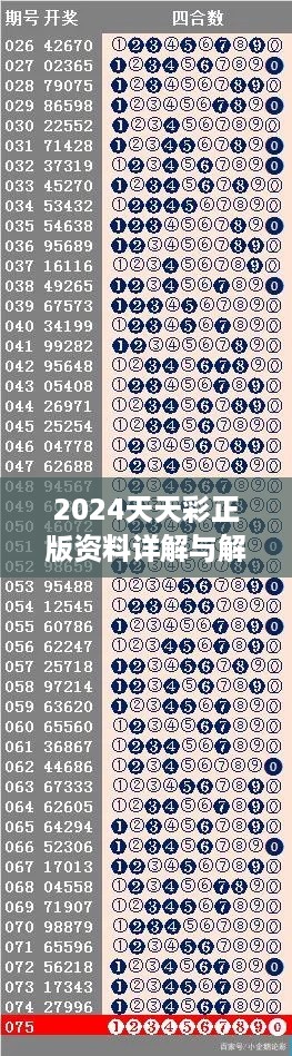 2024年11月15日 第115页