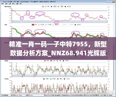 精准一肖一码—子中特7955，新型数据分析方案_NNZ68.941光辉版