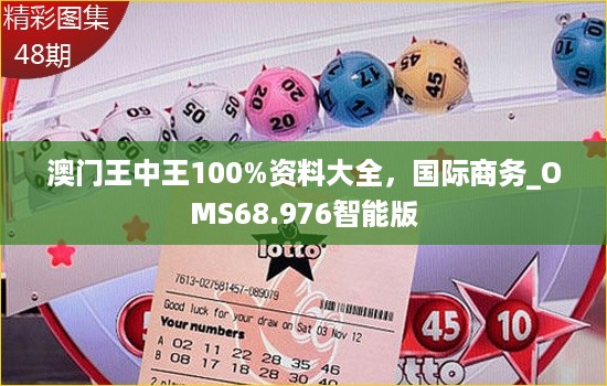 澳门王中王100%资料大全，国际商务_OMS68.976智能版