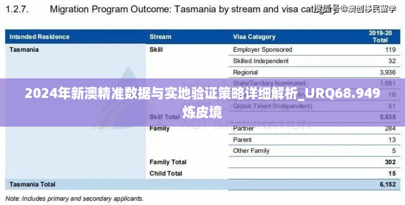 2024年新澳精准数据与实地验证策略详细解析_URQ68.949炼皮境