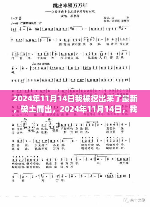 破土重生，我在学习变化中的重生之旅——2024年11月14日记录