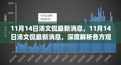 独家揭秘，汤文侃最新动态与各方观点深度解析