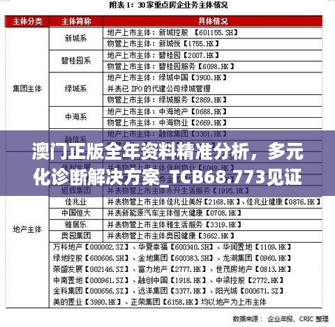 澳门正版全年资料精准分析，多元化诊断解决方案_TCB68.773见证版