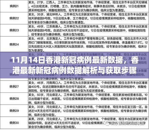 香港新冠病例最新数据解析与获取指南（11月14日版，适用于初学者与进阶用户）