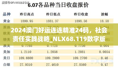 2024澳门好运连连精准24码，社会责任实践战略_NLX68.119数字版