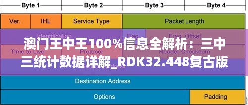 2024年11月15日 第91页