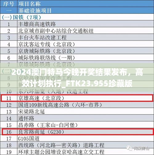 2024澳门特马今晚开奖结果发布，高效计划执行_FTK23.955珍藏版