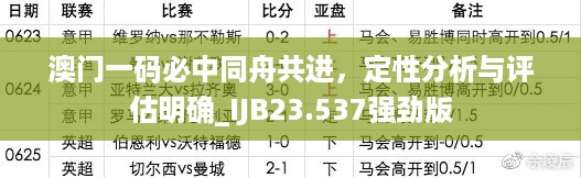 澳门一码必中同舟共进，定性分析与评估明确_IJB23.537强劲版