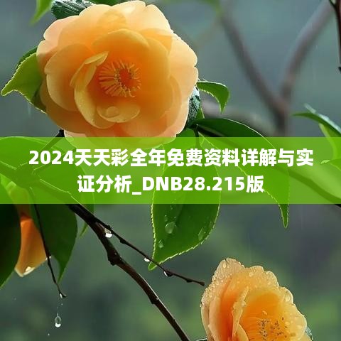 2024天天彩全年免费资料详解与实证分析_DNB28.215版