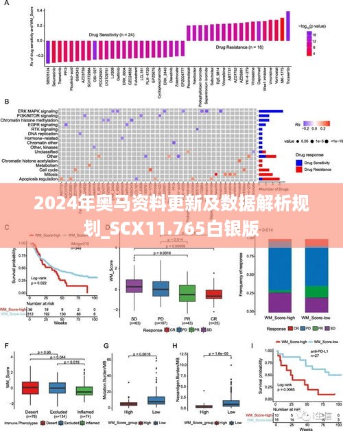 2024年奥马资料更新及数据解析规划_SCX11.765白银版