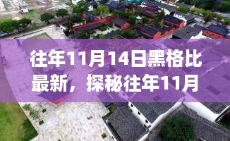 探秘往年11月14日黑格比隐藏小巷的特色美食之旅，味蕾与心灵的奇妙相遇