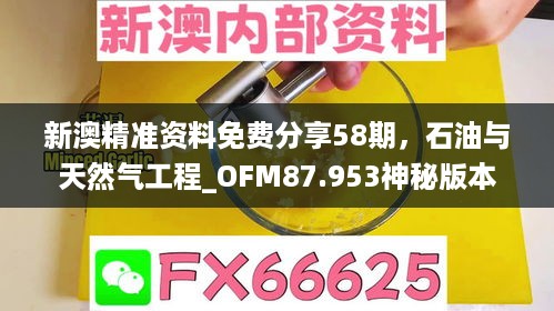 新澳精准资料免费分享58期，石油与天然气工程_OFM87.953神秘版本