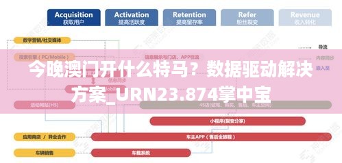 今晚澳门开什么特马？数据驱动解决方案_URN23.874掌中宝