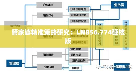 管家婆精准策略研究：LNB56.774硬核版