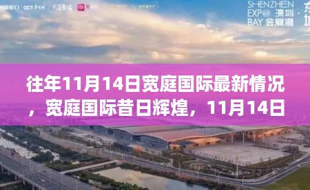 宽庭国际昔日辉煌的回眸，最新动态与历年变迁的启示（往年11月14日）