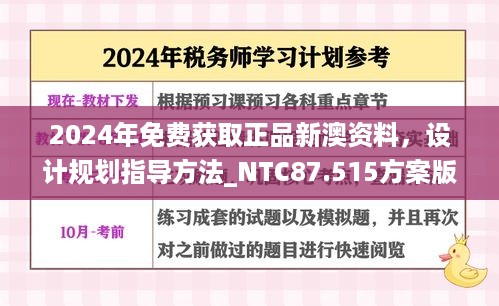 2024年免费获取正品新澳资料，设计规划指导方法_NTC87.515方案版