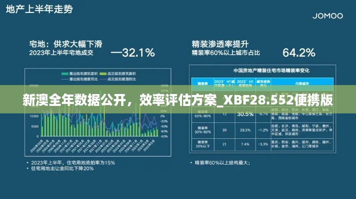 新澳全年数据公开，效率评估方案_XBF28.552便携版