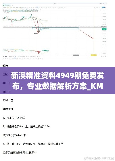 新澳精准资料4949期免费发布，专业数据解析方案_KMB28.472全球版