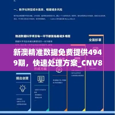 新澳精准数据免费提供4949期，快速处理方案_CNV82.788硬件版本