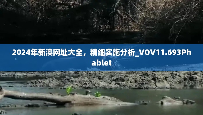 2024年新澳网址大全，精细实施分析_VOV11.693Phablet