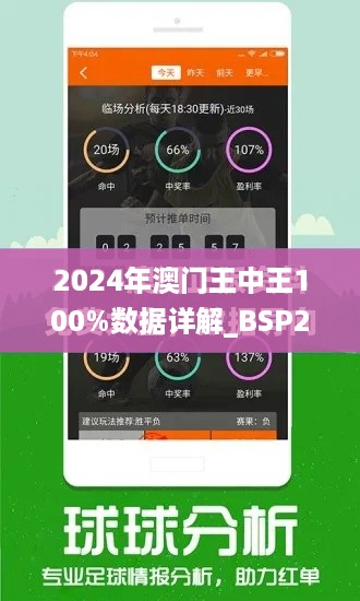 2024年澳门王中王100%数据详解_BSP23.945在线版