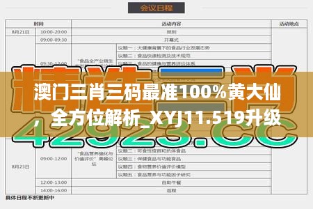 澳门三肖三码最准100%黄大仙，全方位解析_XYJ11.519升级版