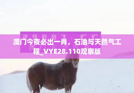 澳门今夜必出一肖，石油与天然气工程_VYE28.110观察版