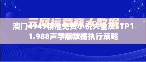 澳门4949精准免费小说大全及STP11.988声学版数据执行策略