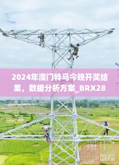 2024年澳门特马今晚开奖结果，数据分析方案_BRX28.220新版