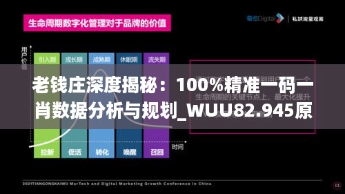 老钱庄深度揭秘：100%精准一码一肖数据分析与规划_WUU82.945原创版