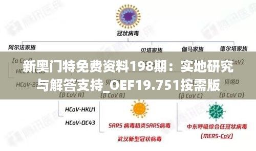 新奥门特免费资料198期：实地研究与解答支持_OEF19.751按需版