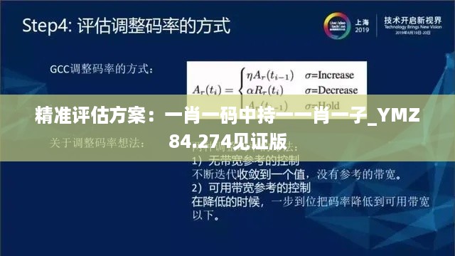 精准评估方案：一肖一码中持一一肖一子_YMZ84.274见证版