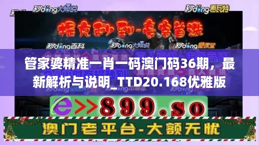 管家婆精准一肖一码澳门码36期，最新解析与说明_TTD20.168优雅版