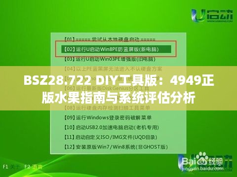 BSZ28.722 DIY工具版：4949正版水果指南与系统评估分析