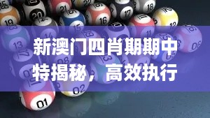 新澳门四肖期期中特揭秘，高效执行策略_HBC56.863游戏版