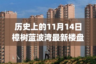 历史上的11月14日樟树蓝波湾楼盘的崛起与影响力回顾