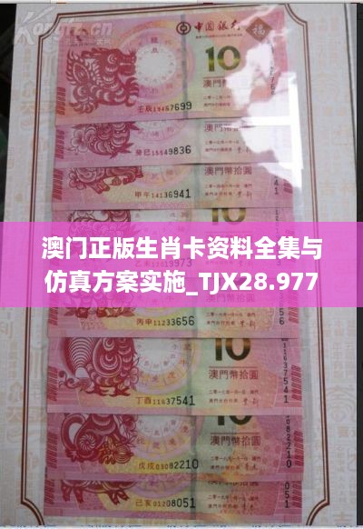 澳门正版生肖卡资料全集与仿真方案实施_TJX28.977商务版