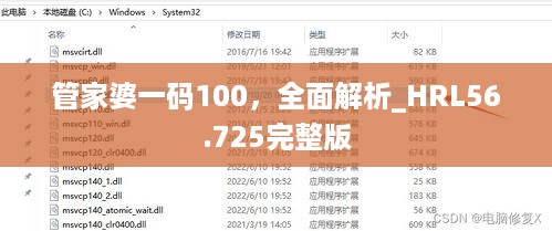 管家婆一码100，全面解析_HRL56.725完整版