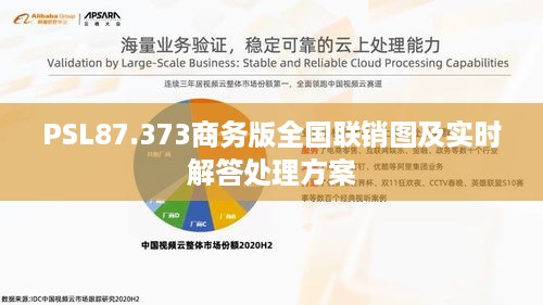 PSL87.373商务版全国联销图及实时解答处理方案