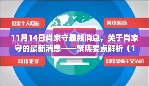 肖家守最新消息聚焦，11月14日要点解析